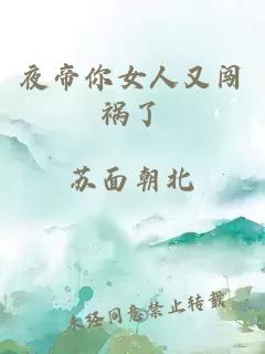 夜帝你女人又闯祸了