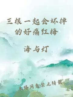 三根一起会坏掉的好痛红梅