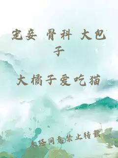 宠妾 骨科 大包子