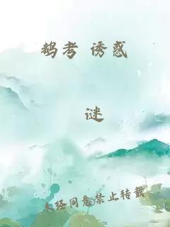 鹅考 诱惑