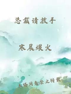 总裁请放手