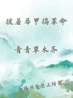 披着马甲搞革命