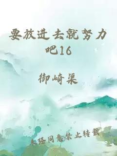 要放进去就努力吧16
