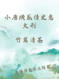 小唐璜感情史意大利